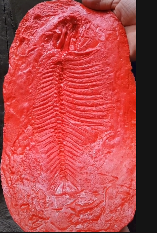 keo-do-khuon-tao-hinh-betong-1.png (693 KB)