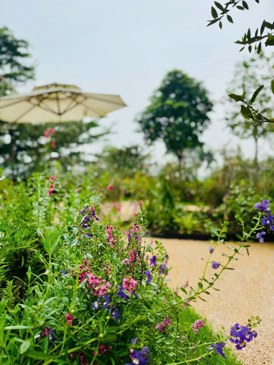 san-soi-chong-truot-quan-cafe-checkin-kag.jpg (327 KB)