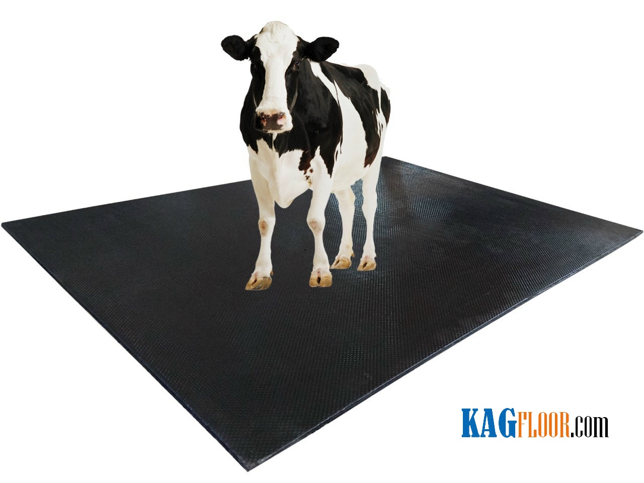Tấm cao su KM008 lót sàn bò sữa 1,8m x 12m dày 17mm 